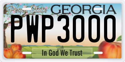 GA license plate PWP3000