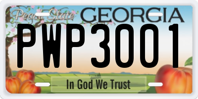 GA license plate PWP3001