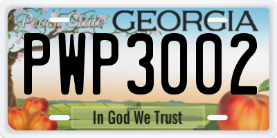 GA license plate PWP3002