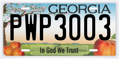 GA license plate PWP3003