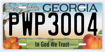 GA license plate PWP3004