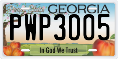GA license plate PWP3005