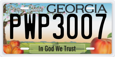 GA license plate PWP3007