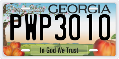 GA license plate PWP3010
