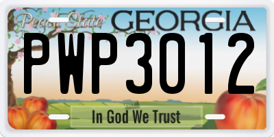 GA license plate PWP3012