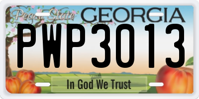 GA license plate PWP3013