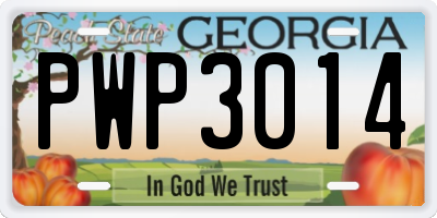 GA license plate PWP3014