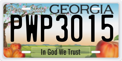 GA license plate PWP3015