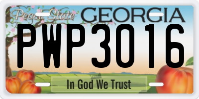 GA license plate PWP3016
