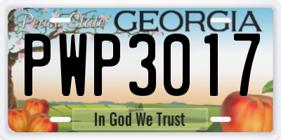 GA license plate PWP3017