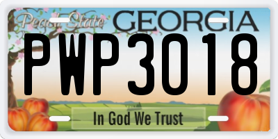 GA license plate PWP3018