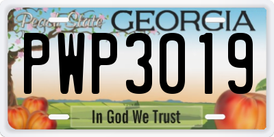 GA license plate PWP3019