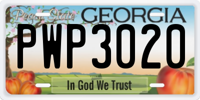 GA license plate PWP3020