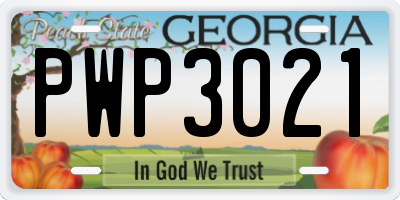 GA license plate PWP3021