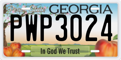 GA license plate PWP3024