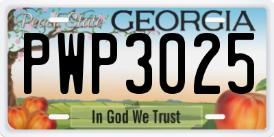 GA license plate PWP3025