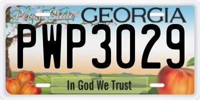 GA license plate PWP3029