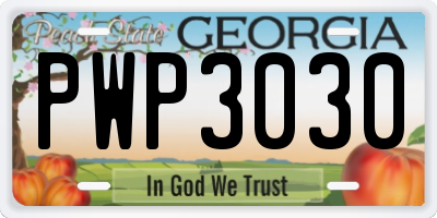 GA license plate PWP3030