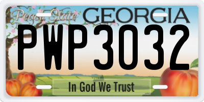 GA license plate PWP3032