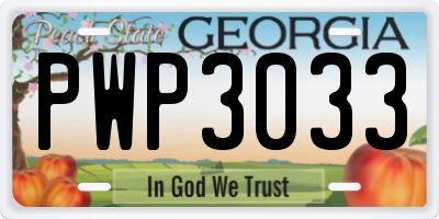 GA license plate PWP3033