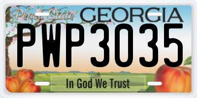GA license plate PWP3035