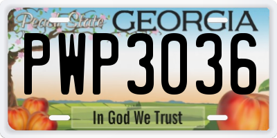 GA license plate PWP3036