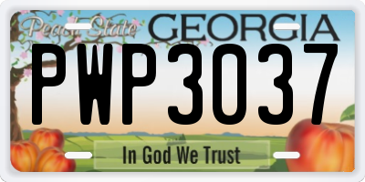 GA license plate PWP3037