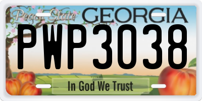 GA license plate PWP3038