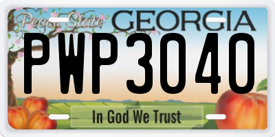 GA license plate PWP3040