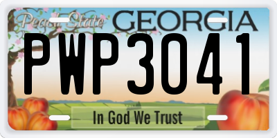 GA license plate PWP3041