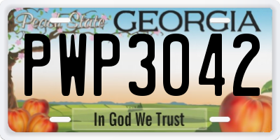 GA license plate PWP3042