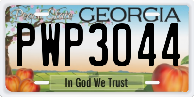 GA license plate PWP3044