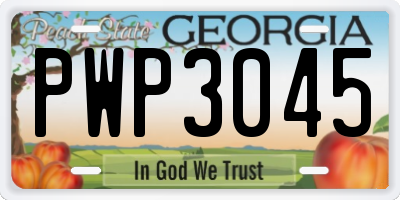 GA license plate PWP3045