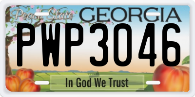 GA license plate PWP3046