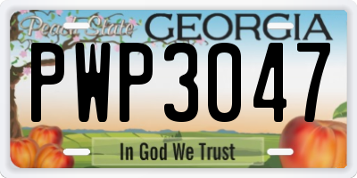 GA license plate PWP3047
