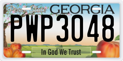 GA license plate PWP3048