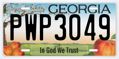 GA license plate PWP3049