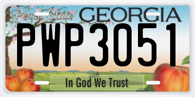 GA license plate PWP3051