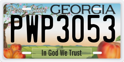 GA license plate PWP3053