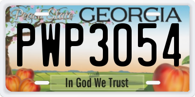 GA license plate PWP3054