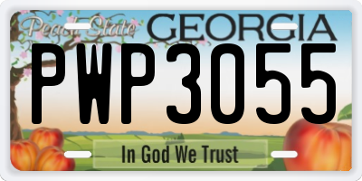 GA license plate PWP3055