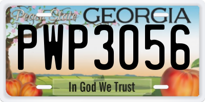 GA license plate PWP3056