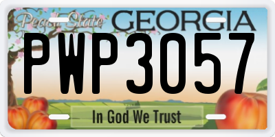 GA license plate PWP3057