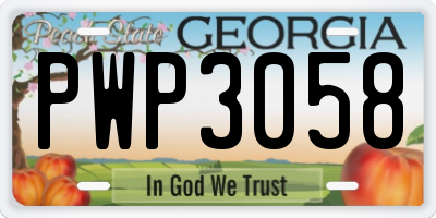 GA license plate PWP3058