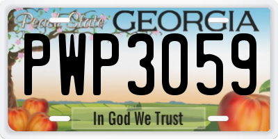 GA license plate PWP3059