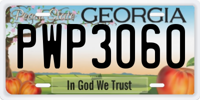GA license plate PWP3060