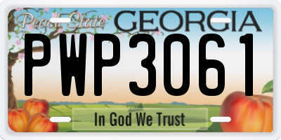 GA license plate PWP3061