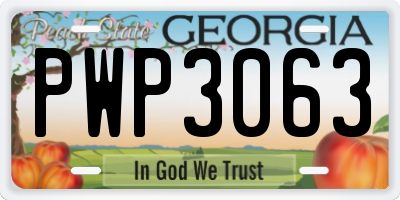 GA license plate PWP3063