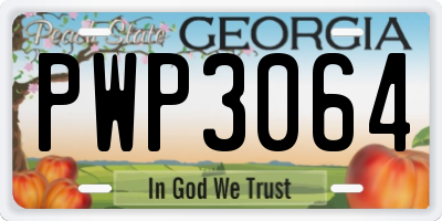GA license plate PWP3064