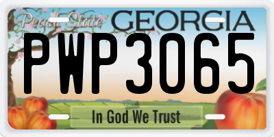 GA license plate PWP3065